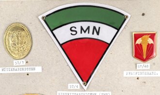 Mexiko, Sammlung verschiedene Abzeichen, auf Karton...