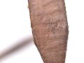 Drei Tornisterriemen Wehrmacht