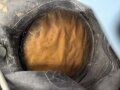 Ungarn ?, Pferdegasmaske KSPM in sehr gutem Zustand, mit Gasbrille in Umverpackung. Russisches Modell, so auch unter anderem in Polen im Einsatz.
