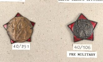 Jugoslawien, Sammlung Abzeichen, auf Karton geklebt