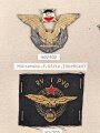 Jugoslawien, Sammlung Abzeichen Luftwaffe, auf Karton geklebt