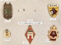 Marokko, Sammlung Abzeichen, auf Karton befestigt