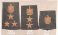 Irak, Sammlung Rangabzeichen, auf Karton getackert