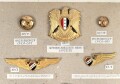 Irak, Sammlung Abzeichen, auf Karton befestigt