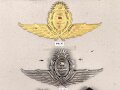 Argentinien Luftwaffe, diverse Abzeichen