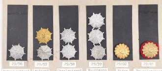 Argentinien, Sammlung Abzeichen, auf Karton getackert