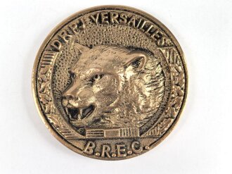 Polizei, Frankreich, nicht tragbare Medaille "DRPJ...