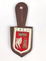 Polizei, Frankreich, Brustanhänger "C.R.S. 24"