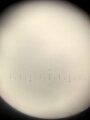 Dienstglas 10 x 50 Wehrmacht. Hersteller rln. Klare Durchsicht, Strichplatte deutlich. Guter Gesamtzustand