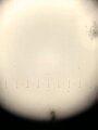 Dienstglas 10 x 50 Wehrmacht. Hersteller Carl Zeiss Jena. Klare Durchsicht, links leichter Pilzansatz. Strichplatte deutlich. Guter Gesamtzustand, stärker getragenes Stück