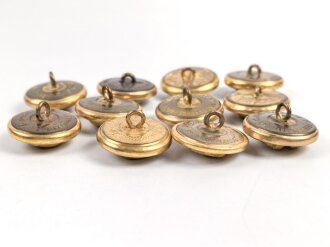 Kriegsmarine, 11 Knöpfe 25mm Assmann & Söhne Feuervergoldet
