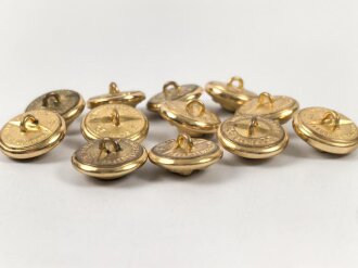 Kriegsmarine,  12 Knöpfe 21mm, Assmann Echte Feuervergoldung