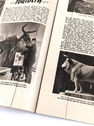 Hilf Mit! - Illustrierte deutsche Schülerzeitung "In Frohen Lauf den Strand entlang", Nr.10, Juli 1939
