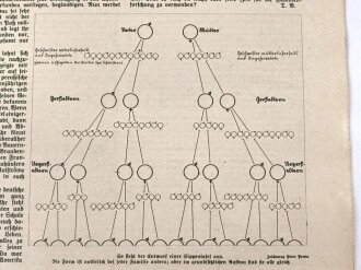 Hilf Mit! - Illustrierte deutsche Schülerzeitung "Adventsstimmung im Heim", Nr.3, Dezember 1936