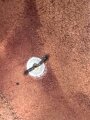 Preussen, Pickelhaube in Kopfgrösse 57, neuzeitliche Anfertigung