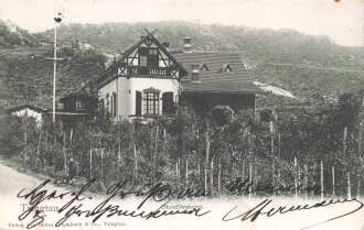 Postkarte "Tsingtau, Oberförsterei" China,...