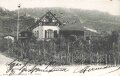 Postkarte "Tsingtau, Oberförsterei" China, gelaufen 1907