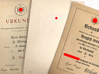 Reichsbundes für Leibesübungen, Drei Urkunde eines BDM Mädel aus Nürtingen