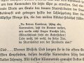 "Horst Wessel" von Fritz Daum, datiert 1933, 112 Seiten, DIN A5
