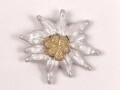 Gebirgsjäger , Traditionsedelweiss für die Schirmmütze ( gehört zwischen Kokarde und Adler) Aluminium