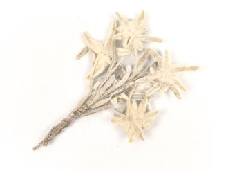 Getrocknetes und gepresstes Edelweiss, aus...
