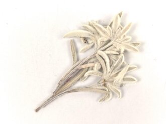 Getrocknetes und gepresstes Edelweiss, aus...