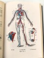 H.Dv. 59 "Unterrichtsbuch für Sanitäts-Unteroffiziere und Mannschaften" datiert 1939, 429 Seiten, DIN A5, guter Zustand