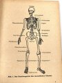 "Amtliches Unterrichtsbuch über Erste Hilfe", datiert 1943, 147 Seiten, gebraucht