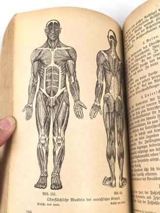 H.Dv. 59 "Unterrichtsbuch für Sanitäts-Unteroffiziere und Mannschaften" datiert 1940, 432 Seiten, DIN A5, gebraucht