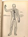 "Amtliches Unterrichtsbuch über Erste Hilfe", datiert 1941, 263 Seiten, gebraucht