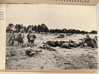 Buch " Tannenberg, Wie Hindenburg die Russen schlug"  Eigenhändige Widmung mit Unterschrift eines SS Hauptsturmführer und Kompanie Chef, anlässlich des Julfest 1941.