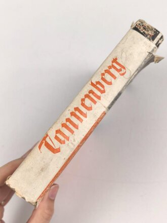 Buch " Tannenberg, Wie Hindenburg die Russen...