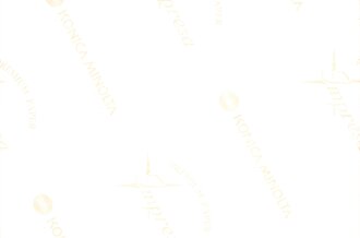 Walter Schuck, Jagdgeschwader 5, Ritterkreuz mit...