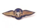 Chile , Brustabzeichen Luftwaffe, Air Force Wing, Breite 54mm