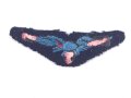 Chile , Brustabzeichen Luftwaffe ,  Air Force Wing, Breite 77mm