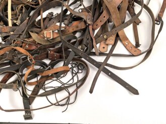 Umfangreiches Konvolut Lederriemen aller Art