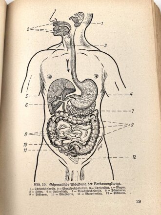 H. Dv. 59 "Unterrichtsbuch für Sanitäts-Unteroffiziere und Mannschaften" datiert 1939, 430 Seiten, DIN A5, stark gebraucht mit Stempel des Truppenarzt dei der Flakkaserne Mannheim-Käfertal 1941