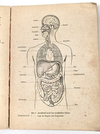 Ausbildungsvorschrift der Hitler-Jugend - Der Gesundheitsdienst der Hitler-Jugend" , datiert 1939, 182 Seiten, DIN A5, stark gebraucht