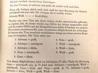 "Deutsche Rassenpflege" Tornisterschrift des Oberkommandos der Wehrmacht Heft 29, datiert 1941, 62 Seiten, DIN A5