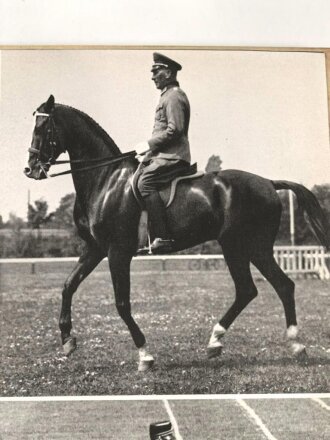 "Olympische Spiele Berlin 1936" datiert 1936, 143 Seiten, über DIN A4, gebraucht