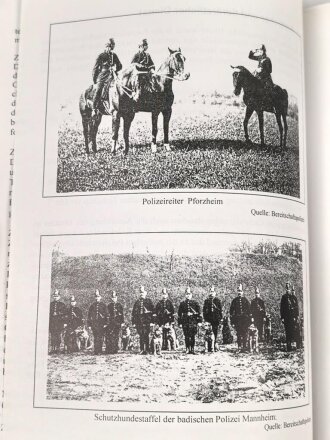 "Die Sicherheitskräfte in der Republik Baden 1918-1933 von der Volkswehr zur Einheitspolizei" 288 Seiten, DIN A5