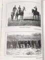 "Die Sicherheitskräfte in der Republik Baden 1918-1933 von der Volkswehr zur Einheitspolizei" 288 Seiten, DIN A5