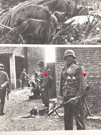 "Wenn alle Brüder schweigen", Großer Bildband über die Waffen-SS, 584 Seiten, über DIN A4, gebraucht