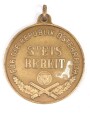 Österreich Bundesheer,  Wehrdienstmedaille in gold