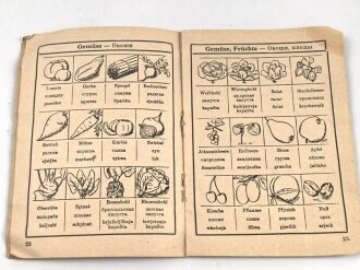 "Bilder - Wörterbuch" zur Verständigung ohne Sprachkenntnisse" Ausgabe B, Deutsch - Russisch, 48 Seiten, A6, Seiten lösen sich