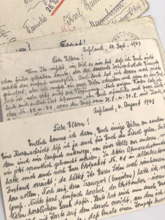 Konvolut Feldpost eines Angehörigen im Grenadier Regiment 554, Gefallen am 18.7.44 bei Dolsk ( Ukraine )
