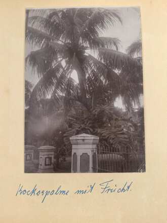 S.M.S. Leipzig, Fotos eines Besatzungsmitglieds. Insgesamt 66 Fotos, meist im Format 9 x 12 - 12 x 17cm.