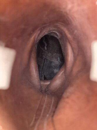 Paar Stiefel für Offiziere, ähnlich Wehrmacht, vermutlich Produktion nach 1945. Ungereinigt, Sohlenlänge 27,5cm