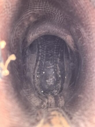 Paar Stiefel für Mannschaften der Wehrmacht, Kammerstempelung innen im Schaft, ungereinigtes Paar, Sohlenlänge 28cm