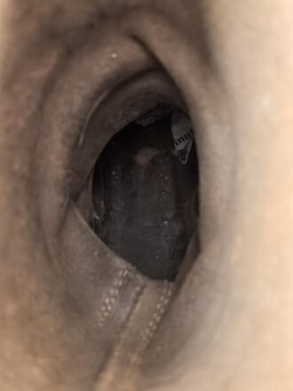 Paar Stiefel für Mannschaften der Wehrmacht, ungereinigtes Paar, Sohlenlänge 28,5cm